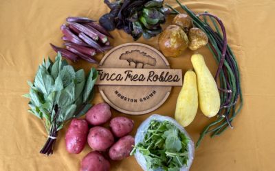 NOTES FROM THE FIELD: FALL CSA 2021 – WEEK 2