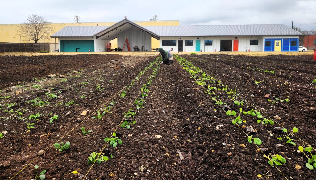 landing-page