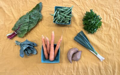 Spring CSA 2026 – Week 4