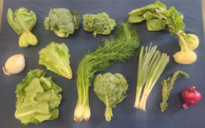 Spring CSA 2026 – Week 6