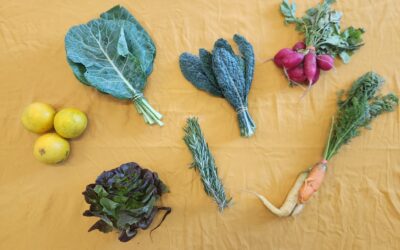 Spring CSA 2026 – Week 7