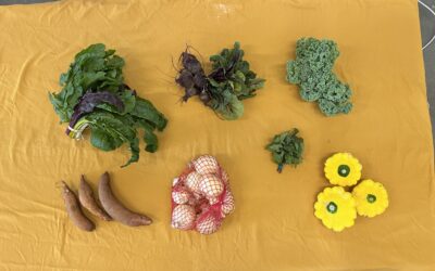 Spring CSA 2026 – Week 8