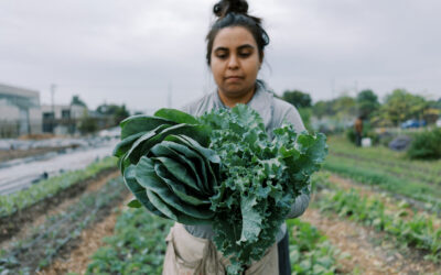 Fall CSA 2026 – Week 5
